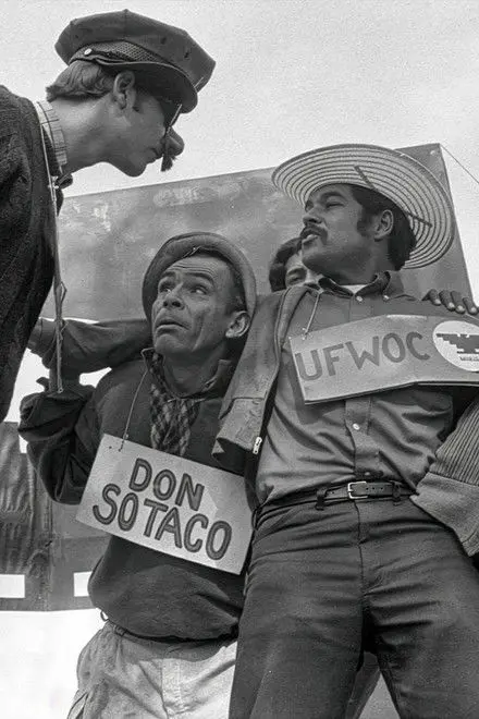 American Pachuco The Legend Of Luis Valdez American Pachuco The Legend Of Luis Valdez