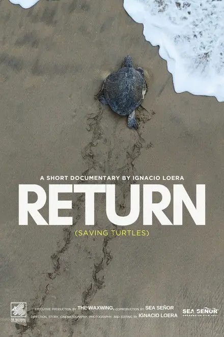 Return: Saving Turtles Return: Saving Turtles