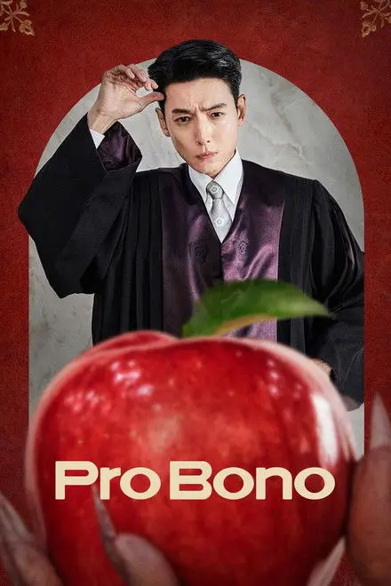 Pro Bono Pro Bono